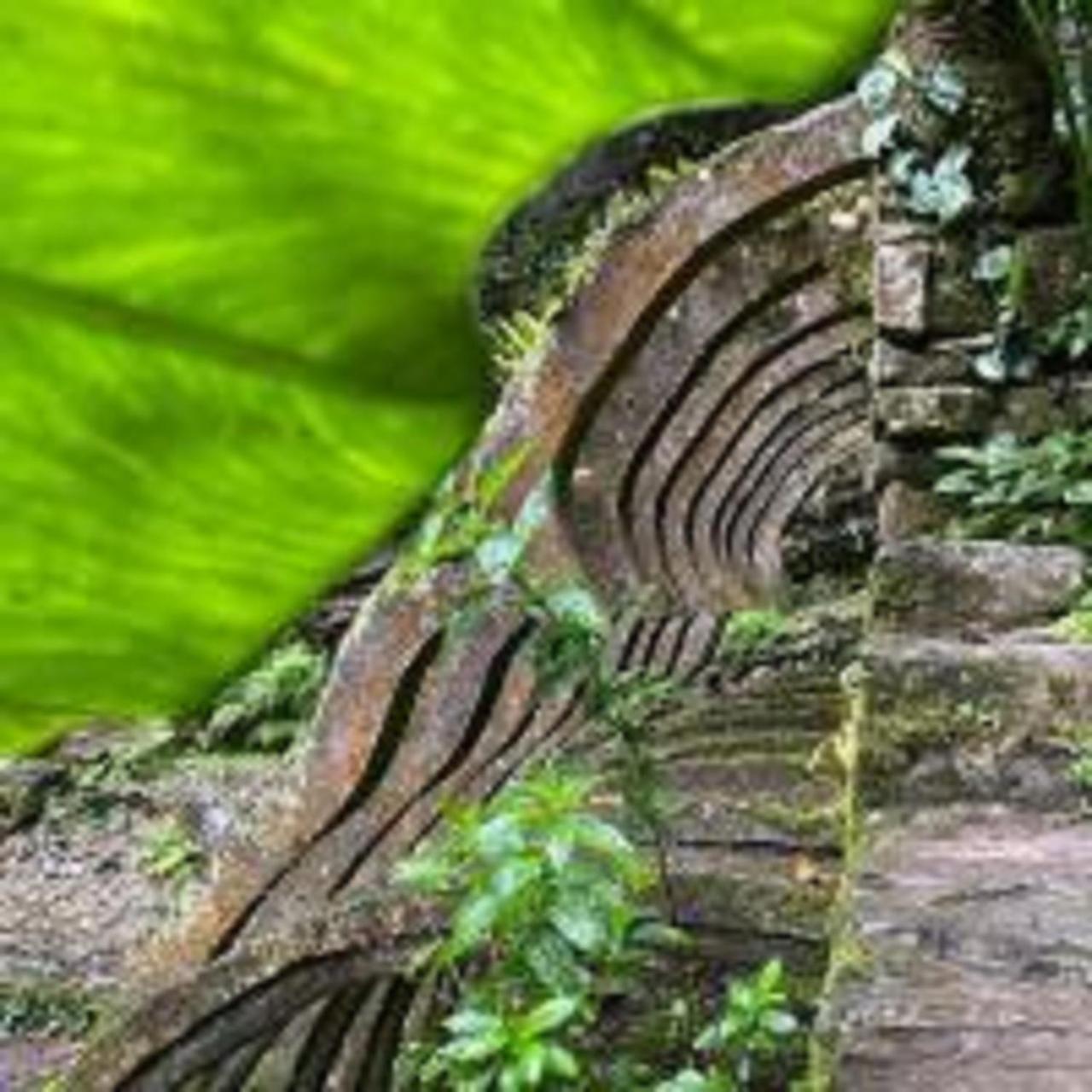Grann Posada Xilitla Esterno foto
